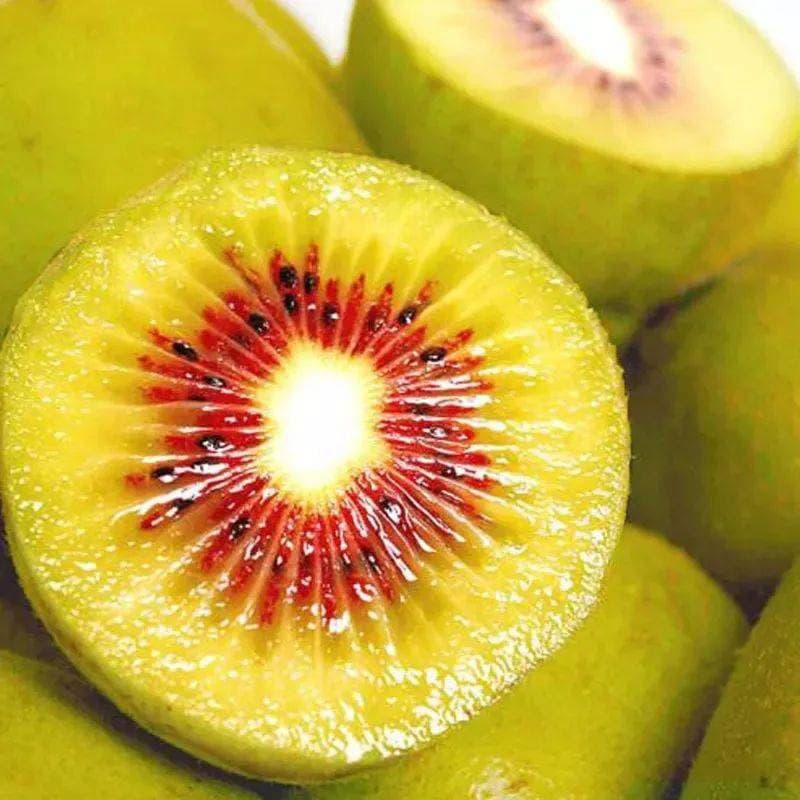 images/1669365935649kiwi fruit sorting machine.jpg